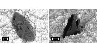 High magnification images of particles